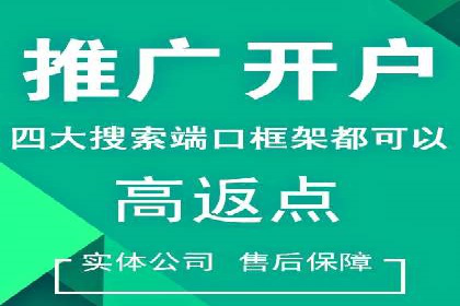 百度竞价推广运营策略：成功案例解析