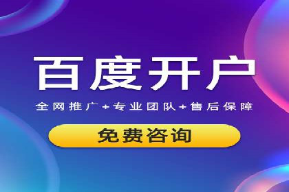 SEM外包服务应用案例分析